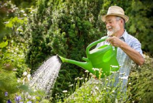 سوالات باغبانی فنی و حرفه ای رایگان